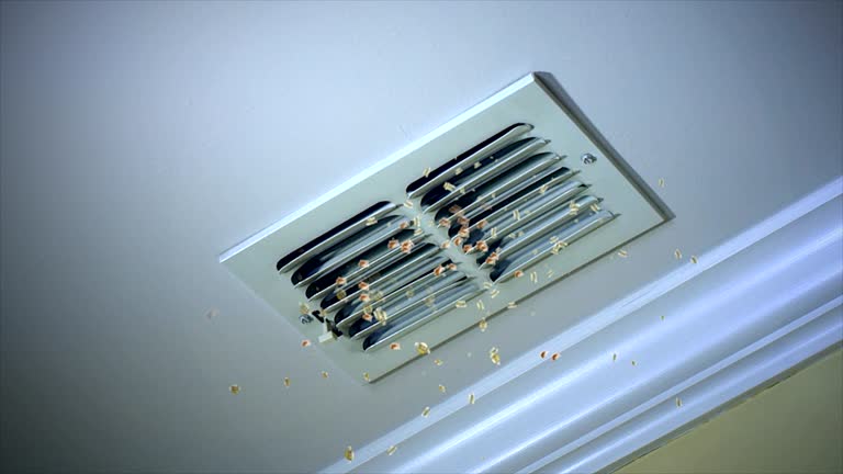 Best Professional Duct Cleaning Services  in Frazier Park, CA