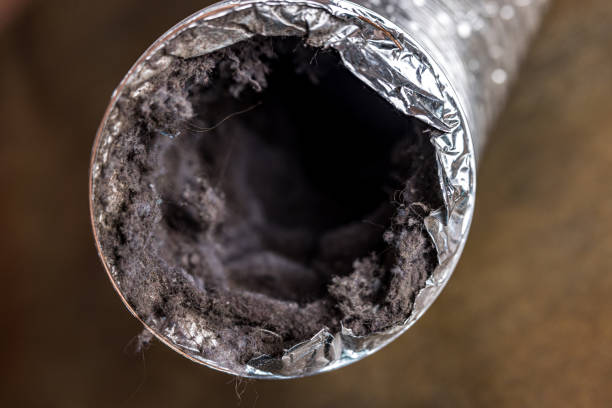 Best HVAC System Cleaning  in Frazier Park, CA